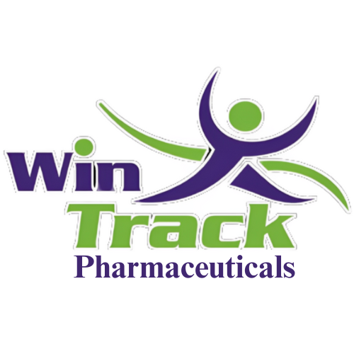 Wintrack Logo